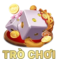 Biểu tượng phương thức thanh toán an toàn nw88